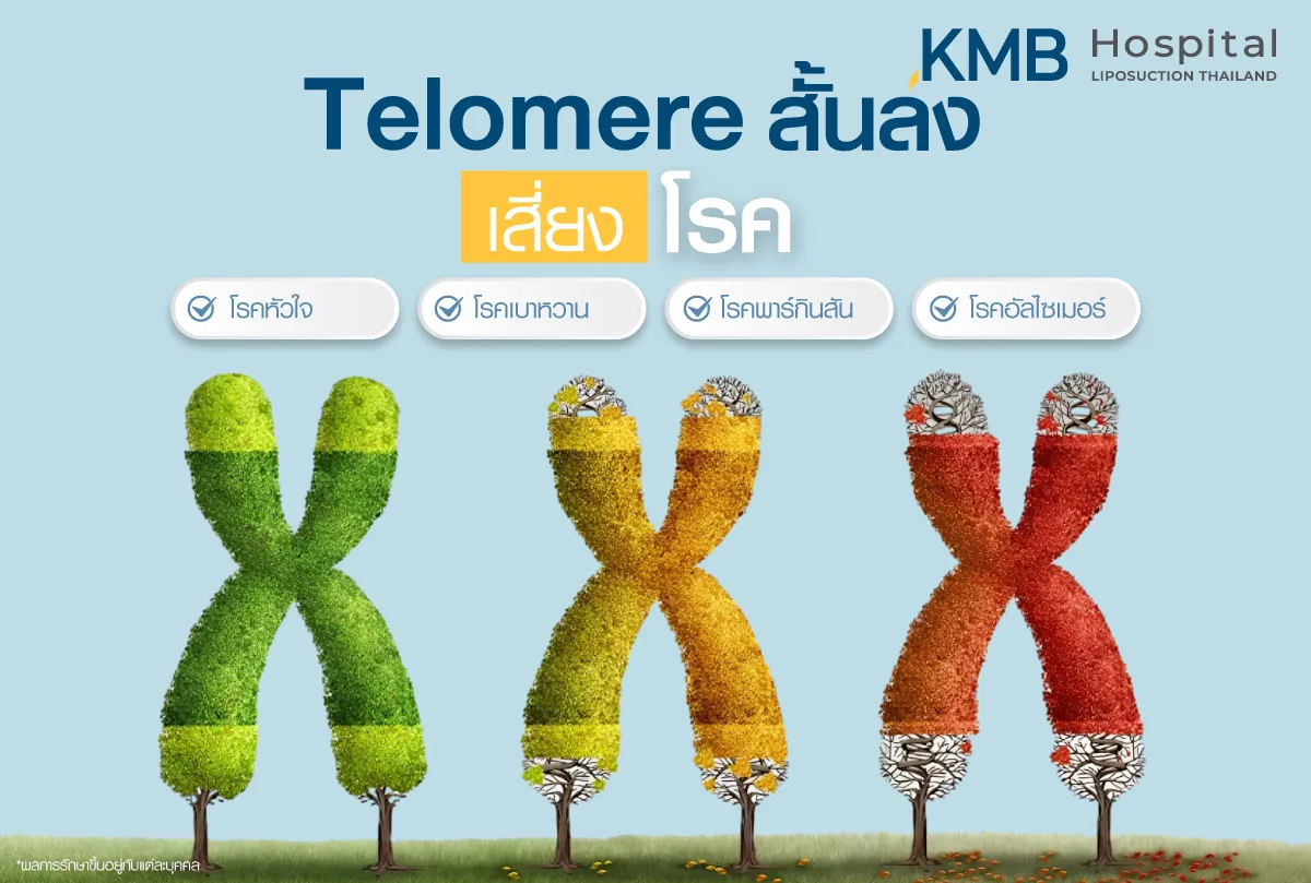 Telomere สั้นลง เสี่ยงโรค
