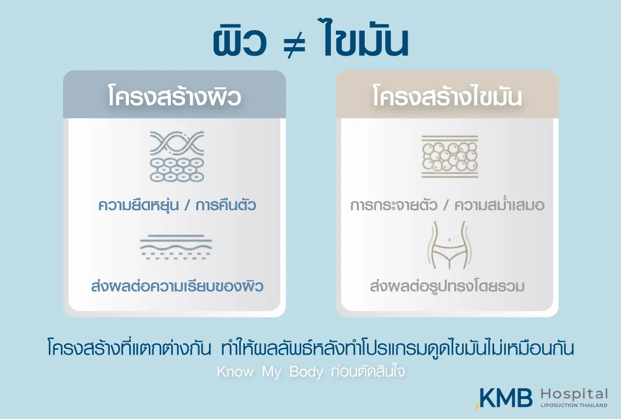 ภาพอินโฟกราฟิก KMB Hospital เปรียบเทียบโครงสร้างผิวและโครงสร้างไขมัน โดยผิวเกี่ยวข้องกับความยืดหยุ่นและการคืนตัว ส่วนไขมันเกี่ยวข้องกับการกระจายตัว ความสม่ำเสมอ และรูปร่างโดยรวม
