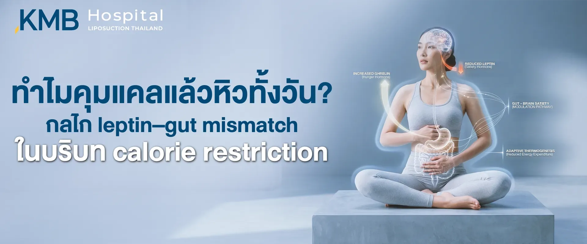 ภาพปกบทความแสดงนาฬิกาชีวภาพช่วงกลางวันและกลางคืน พร้อมผู้หญิงอยู่กึ่งกลางระหว่างแสงเช้าและท้องฟ้ายามค่ำ สื่อถึงจังหวะของ Cortisol และ Melatonin ที่เชื่อมโยงการนอน ระบบลำไส้ และสมดุลฮอร์โมน