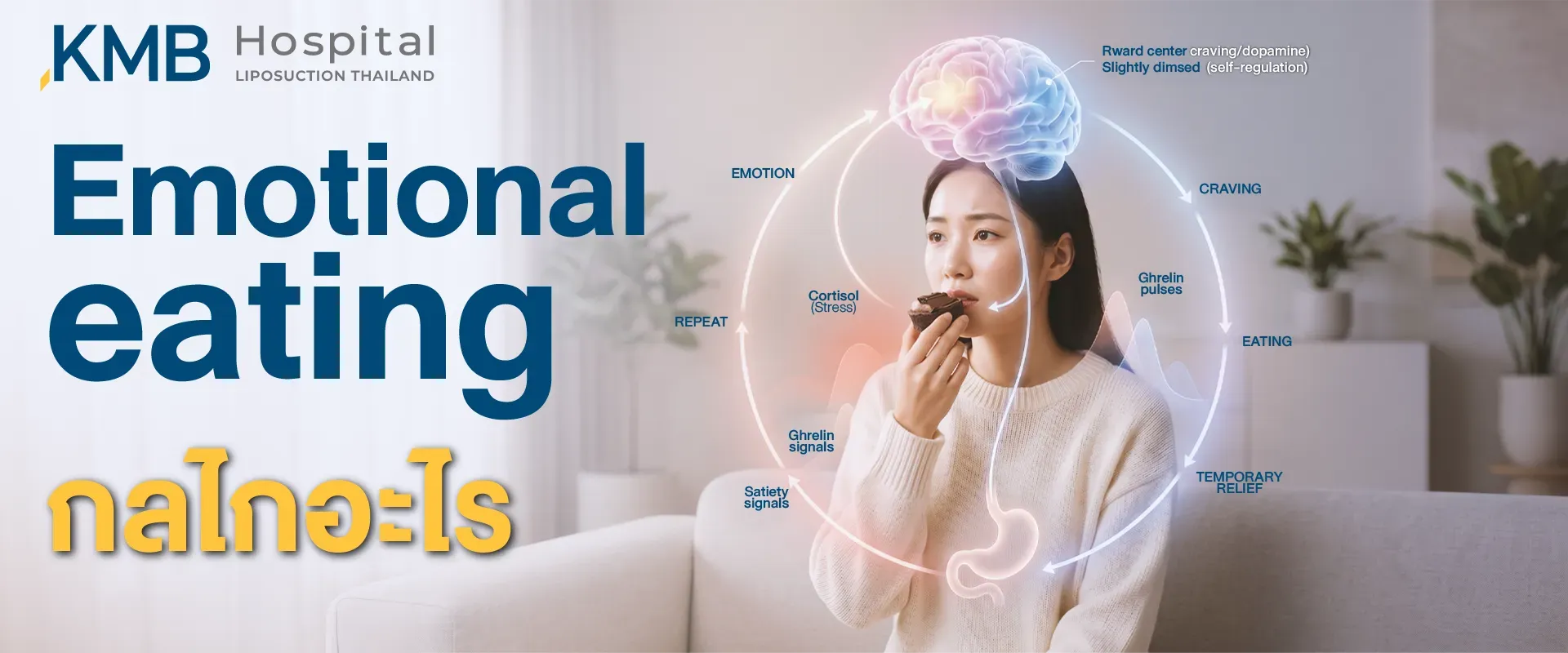 ผู้หญิงกำลังกินขนมขณะมีสีหน้ากังวล พร้อมอินโฟกราฟิกแสดงวงจร Emotional Eating ที่เชื่อมโยงอารมณ์ ความอยากอาหาร ระบบรางวัลในสมอง Cortisol สัญญาณ Ghrelin ความอิ่ม และความรู้สึกผ่อนคลายชั่วคราวก่อนเกิดพฤติกรรมซ้ำ