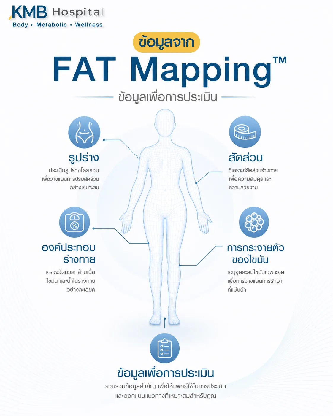 อินโฟกราฟิกแสดงข้อมูลที่ FAT Mapping™ ใช้ประกอบการประเมินก่อนดูดไขมัน