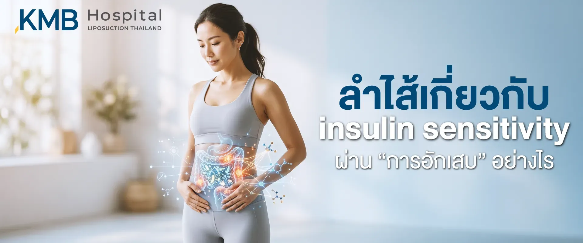 ภาพปกบทความแสดงผู้หญิงพร้อมภาพจำลองระบบลำไส้ เพื่อสื่อถึงความสัมพันธ์ระหว่าง Gut Health กระบวนการอักเสบ และความไวต่ออินซูลินหรือ Insulin Sensitivity