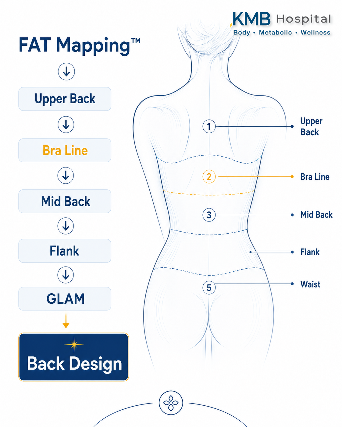 อินโฟกราฟิกแสดงการประเมินแผ่นหลังก่อนดูดไขมันแบบ GLAM Liposculpt™