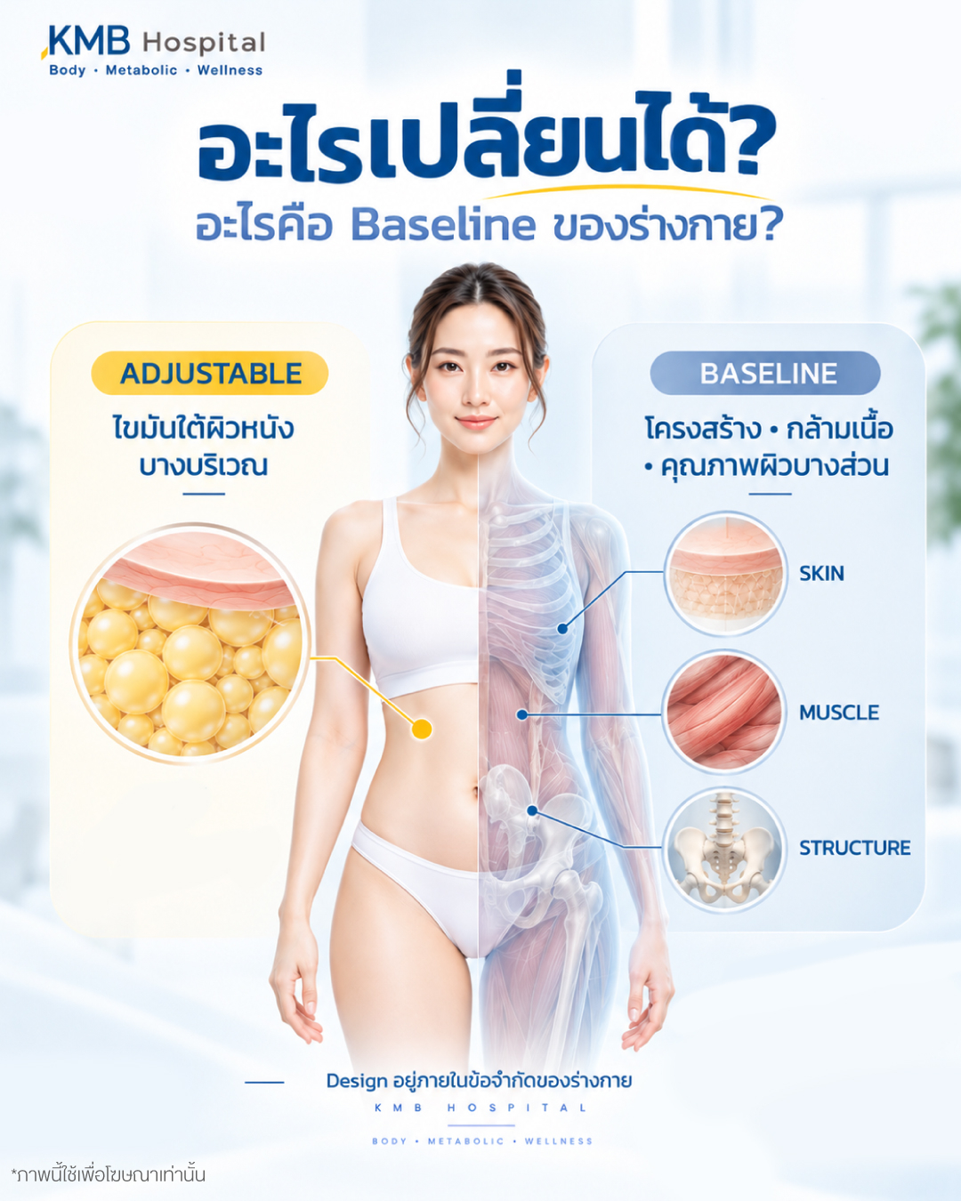 อินโฟกราฟิกอธิบายส่วนที่โปรแกรมดูดไขมันสามารถปรับได้และส่วนที่เป็นโครงสร้างพื้นฐานของร่างกาย