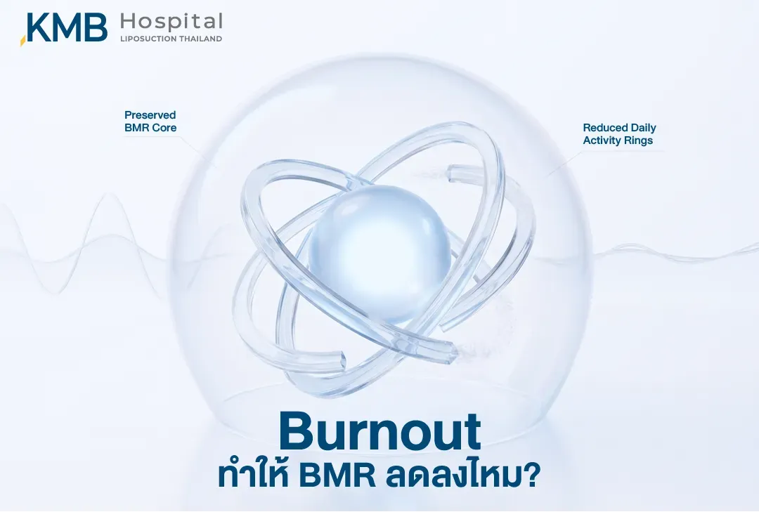 อินโฟกราฟิกอธิบายความสัมพันธ์ระหว่างภาวะ Burnout กับอัตราการเผาผลาญ โดยแสดงว่า BMR อาจยังคงใกล้เคียงเดิม แต่การเคลื่อนไหวและกิจกรรมในชีวิตประจำวันอาจลดลง ส่งผลให้การใช้พลังงานรวมต่อวันลดลง