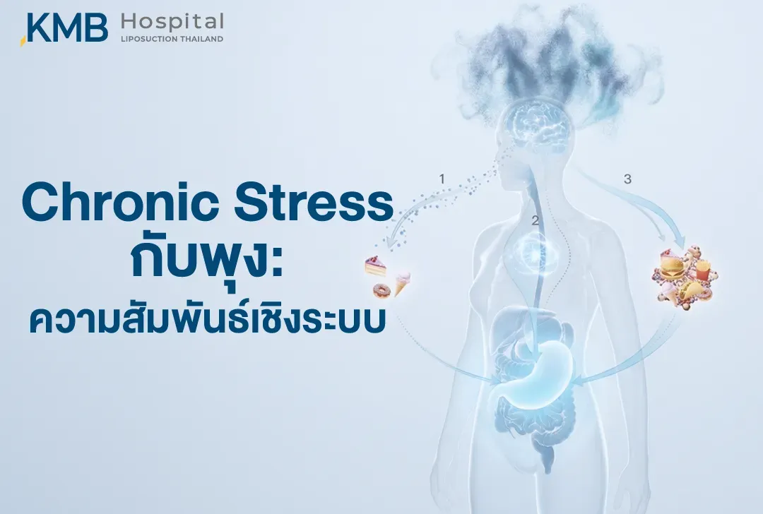 อินโฟกราฟิกแสดงความสัมพันธ์เชิงระบบระหว่างความเครียดเรื้อรัง สมอง ระบบทางเดินอาหาร และพฤติกรรมการรับประทานอาหาร ผ่านการสื่อสารของ Gut–Brain Axis ซึ่งอาจเกี่ยวข้องกับการทำงานของลำไส้ ความอยากอาหาร และการควบคุมระบบเผาผลาญ