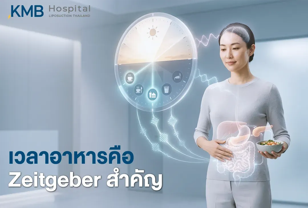 ผู้หญิงถืออาหารพร้อมกราฟิกระบบทางเดินอาหารและนาฬิกาชีวภาพ แสดงช่วงกลางวันและกลางคืน สื่อถึงเวลาอาหารในฐานะ Zeitgeber ที่ช่วยกำหนดจังหวะการทำงานของลำไส้ ตับอ่อน และระบบเผาผลาญ