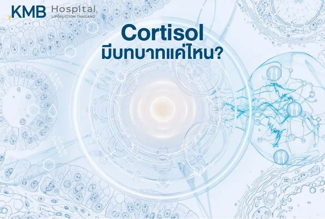 อินโฟกราฟิกอธิบายบทบาทของฮอร์โมน Cortisol ในการตอบสนองต่อความเครียด การควบคุมพลังงาน ระดับน้ำตาลในเลือด และพฤติกรรมการเลือกรับประทานอาหาร