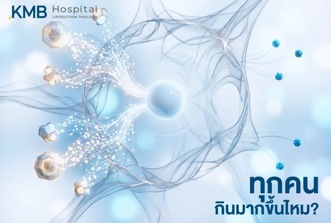 ภาพกราฟิกแสดงการส่งสัญญาณระดับเซลล์และฮอร์โมน เพื่ออธิบายว่าความเครียดและ Cortisol อาจเชื่อมโยงกับความอยากอาหารและพฤติกรรมการกินมากขึ้นได้อย่างไร