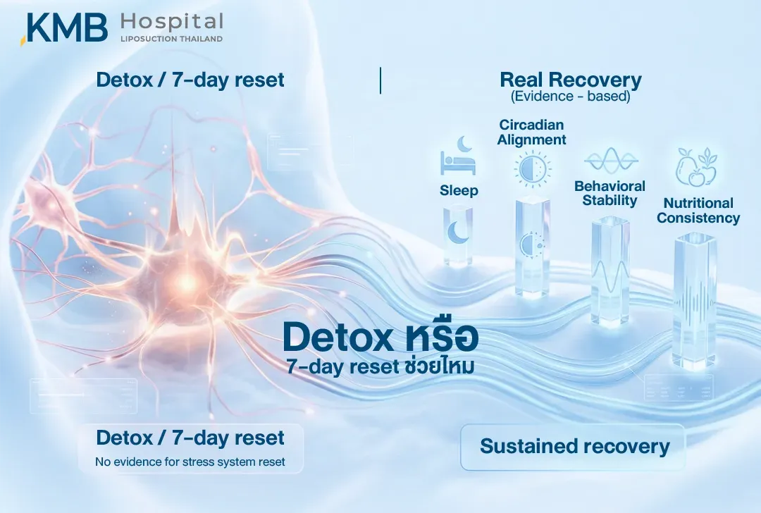 อินโฟกราฟิกเปรียบเทียบ Detox หรือ 7-Day Reset กับการฟื้นตัวจากความเครียดอย่างยั่งยืน โดยเน้นการนอนให้เพียงพอ การปรับนาฬิกาชีวภาพ ความสม่ำเสมอของพฤติกรรม และโภชนาการที่ต่อเนื่อง