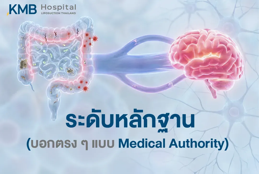 อินโฟกราฟิกแสดงความเชื่อมโยงระหว่างลำไส้และสมองผ่าน Gut–Brain Axis เพื่ออธิบายระดับหลักฐานเกี่ยวกับ Dysbiosis และความสัมพันธ์กับอาการหิวบ่อยในมุมมองทางการแพทย์