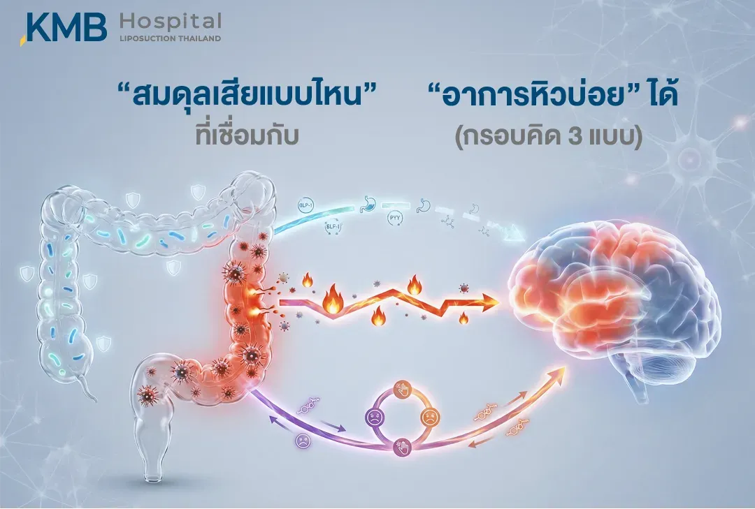 อินโฟกราฟิกแสดงกรอบคิด 3 เส้นทางที่อาจเชื่อมโยง Dysbiosis กับอาการหิวบ่อย ได้แก่ การเปลี่ยนแปลงของสัญญาณความอิ่มจากลำไส้ ภาวะอักเสบระดับต่ำ และการสื่อสารผ่าน Gut–Brain Axis ไปยังสมอง