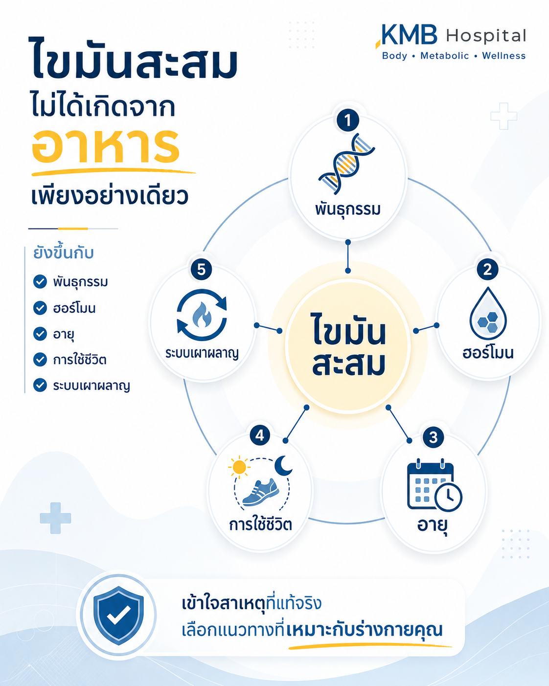 อินโฟกราฟิกแสดงปัจจัยที่มีผลต่อการสะสมไขมัน ได้แก่ พันธุกรรม ฮอร์โมน อายุ การใช้ชีวิต และระบบเผาผลาญ