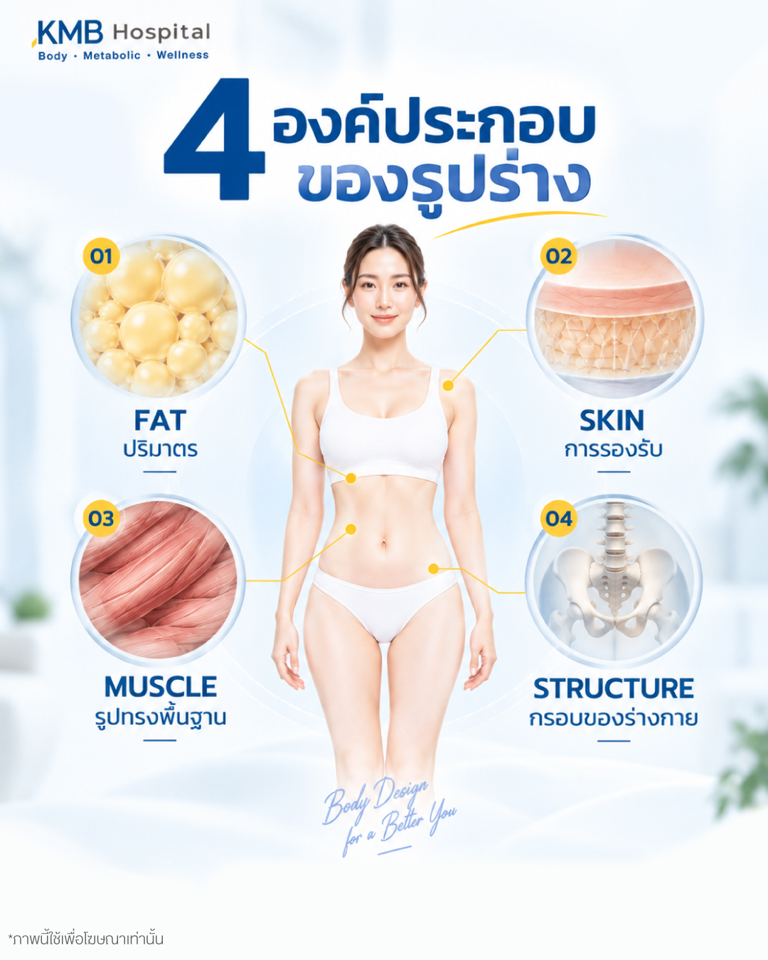 อินโฟกราฟิกแสดง 4 องค์ประกอบของรูปร่าง ได้แก่ ไขมัน ผิวหนัง กล้ามเนื้อ และโครงสร้าง