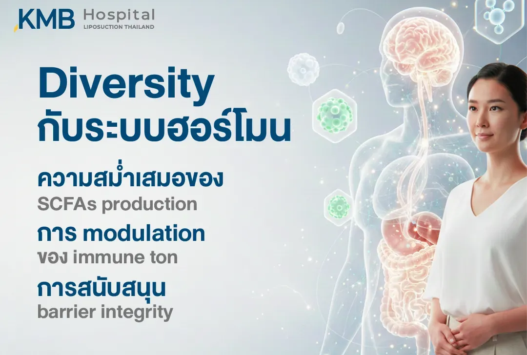 อินโฟกราฟิกอธิบายความสัมพันธ์ระหว่างความหลากหลายของ Gut Microbiome กับระบบฮอร์โมน โดยเชื่อมโยงการผลิต SCFAs การปรับสมดุลการทำงานของภูมิคุ้มกัน และการสนับสนุนความแข็งแรงของ Gut Barrier