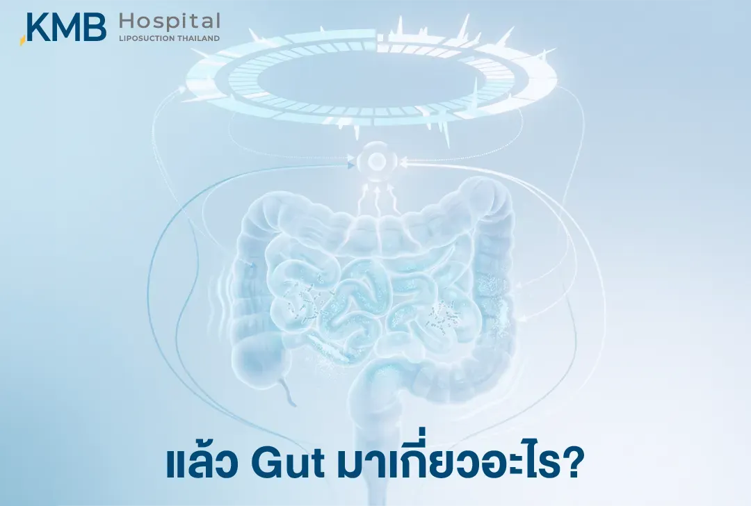 อินโฟกราฟิกแสดงระบบลำไส้และจุลินทรีย์ในลำไส้ เพื่ออธิบายว่า Gut Microbiome อาจเชื่อมโยงการนอนไม่พอกับการควบคุมความหิวผ่านนาฬิกาชีวภาพ เมตาบอลิซึม และ Gut–Brain Axis