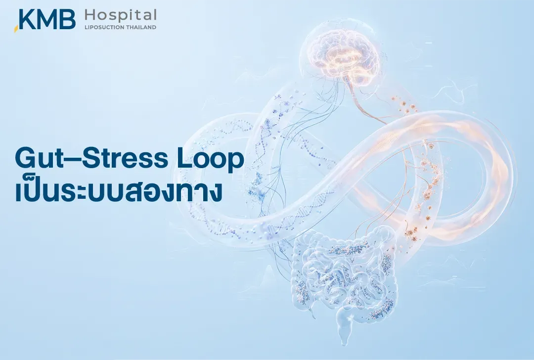อินโฟกราฟิกสามมิติแสดงความเชื่อมโยงระหว่างสนามความเครียด ระบบลำไส้ Microbiome การอักเสบ และแกนควบคุมระบบเผาผลาญ เพื่ออธิบายการสื่อสารภายใน Gut–Stress Metabolic Axis