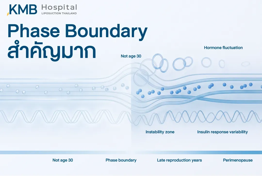 อินโฟกราฟิกแสดง Phase Boundary ในช่วงวัยเจริญพันธุ์ตอนปลายถึงวัยก่อนหมดประจำเดือน ซึ่งความผันผวนของฮอร์โมนอาจสัมพันธ์กับความแปรปรวนของการตอบสนองต่ออินซูลินและระดับกลูโคส