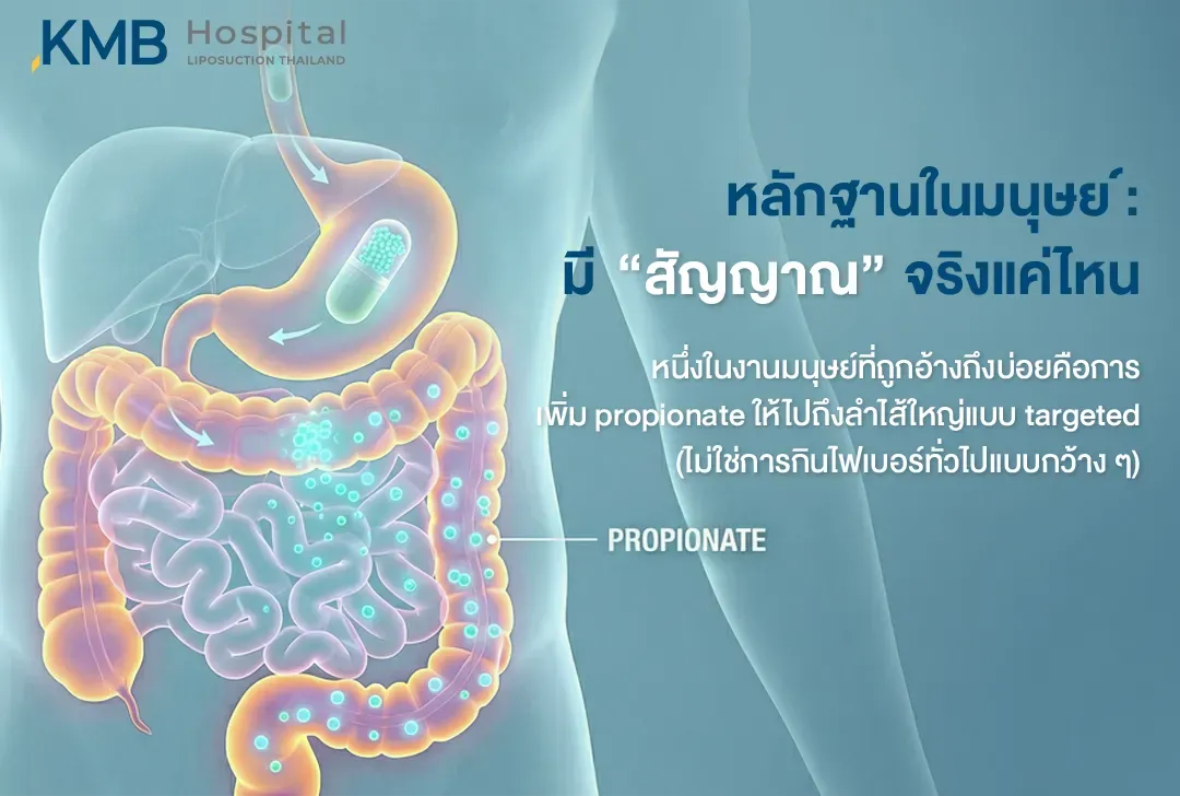 อินโฟกราฟิกหลักฐานในมนุษย์เกี่ยวกับการนำส่ง propionate ไปยังลำไส้ใหญ่แบบเฉพาะเจาะจง เพื่อศึกษาสัญญาณจากกรดไขมันสายสั้น