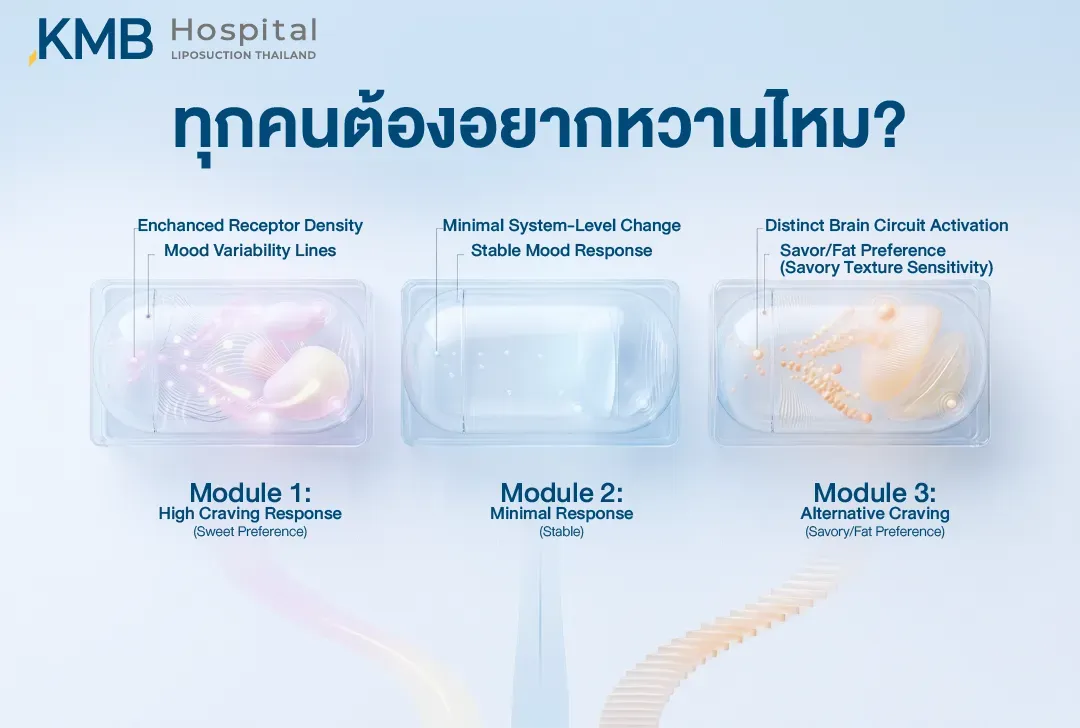 อินโฟกราฟิกเปรียบเทียบความแตกต่างของการตอบสนองต่อความอยากอาหาร 3 รูปแบบ ได้แก่ ความอยากของหวานสูง การตอบสนองต่อของหวานเพียงเล็กน้อย และความอยากอาหารรสเค็มหรืออาหารคาว เพื่ออธิบายว่าแต่ละคนไม่ได้อยากของหวานเหมือนกัน