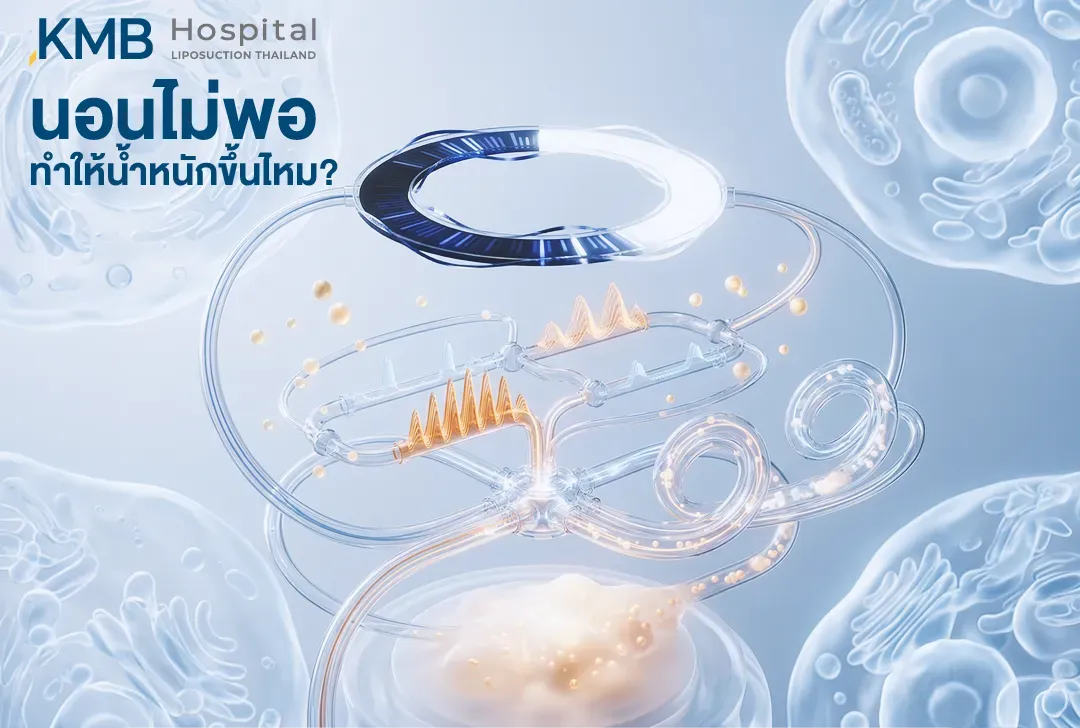 ภาพกราฟิกแสดงเครื่องชั่งน้ำหนักและสัญญาณชีวภาพ เพื่ออธิบายกลไกที่การนอนไม่เพียงพออาจเชื่อมโยงกับความหิว การควบคุมพลังงาน และความเสี่ยงที่น้ำหนักจะเพิ่มขึ้น