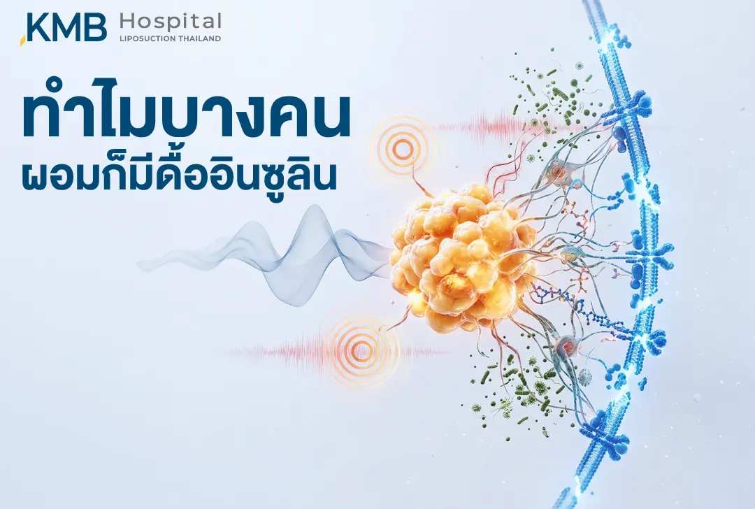 ภาพกราฟิกเซลล์ไขมันและเยื่อหุ้มเซลล์ แสดงการสื่อสารระดับเซลล์และสัญญาณการอักเสบที่อาจรบกวนการตอบสนองต่ออินซูลินและเกี่ยวข้องกับภาวะดื้อต่ออินซูลิน
