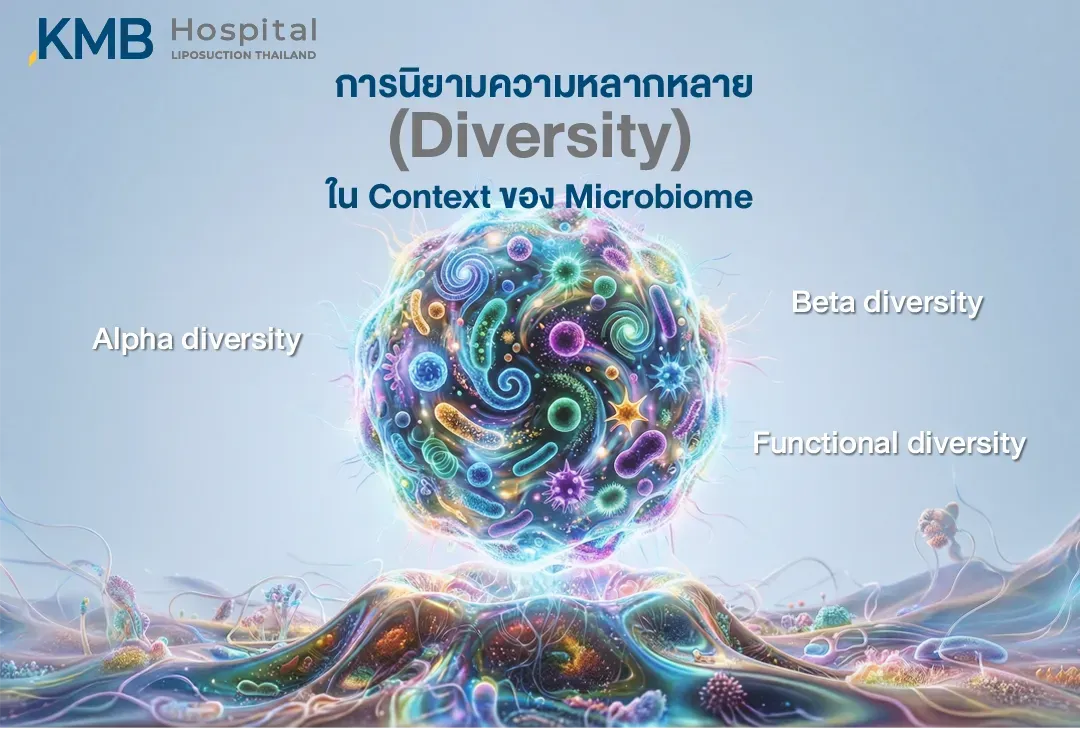 อินโฟกราฟิกอธิบายความหลากหลายของ Gut Microbiome 3 ด้าน ได้แก่ Alpha Diversity ความหลากหลายภายในตัวอย่าง Beta Diversity ความแตกต่างระหว่างชุมชนจุลินทรีย์ และ Functional Diversity ความหลากหลายของหน้าที่ที่จุลินทรีย์สามารถทำได้