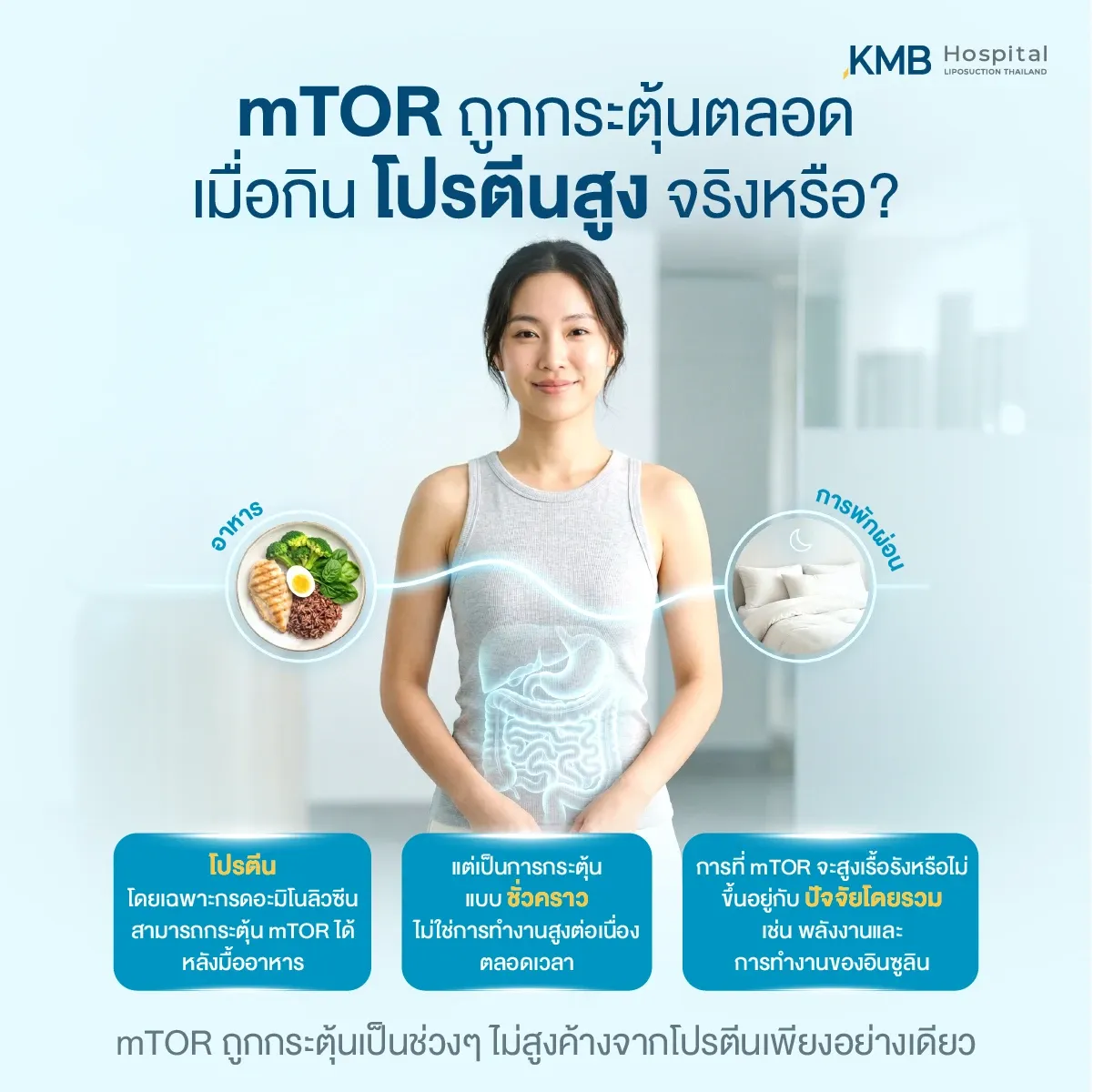 อินโฟกราฟิกผู้หญิงพร้อมภาพระบบทางเดินอาหาร อธิบายว่าโปรตีนโดยเฉพาะกรดอะมิโนลิวซีนสามารถกระตุ้น mTOR หลังมื้ออาหารได้ชั่วคราว โดยผลระยะยาวขึ้นอยู่กับอาหาร การพักผ่อน พลังงาน และการทำงานของอินซูลินร่วมกัน