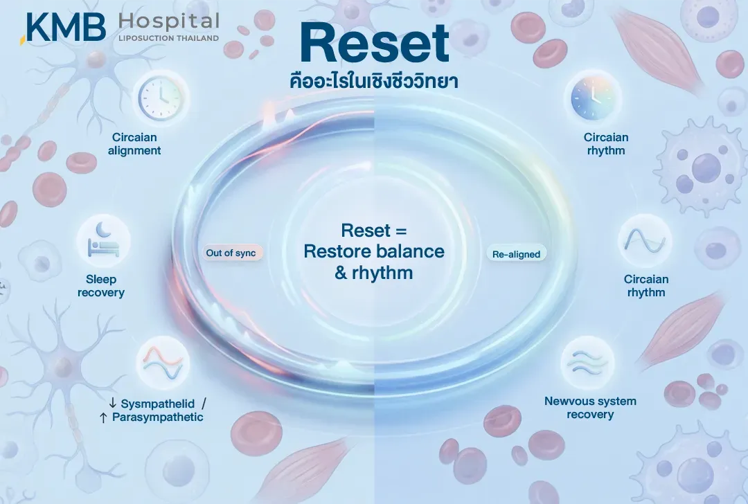 อินโฟกราฟิกอธิบายความหมายของ Reset ในเชิงสรีรวิทยา ว่าเป็นการค่อย ๆ ฟื้นสมดุลและจังหวะการทำงานของร่างกาย ผ่านการปรับ Circadian Rhythm การฟื้นตัวจากการนอน และการปรับสมดุลระบบประสาท Sympathetic กับ Parasympathetic