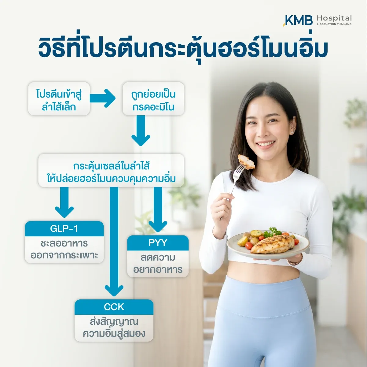 อินโฟกราฟิกอธิบายกระบวนการที่โปรตีนถูกย่อยเป็นกรดอะมิโน ก่อนกระตุ้นลำไส้ให้หลั่งฮอร์โมน GLP-1, PYY และ CCK ซึ่งมีส่วนช่วยชะลอการเคลื่อนอาหาร ลดความอยากอาหาร และส่งสัญญาณความอิ่มไปยังสมอง