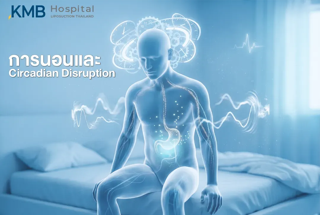 อินโฟกราฟิกแสดงการนอนหลับถูกรบกวนและภาวะ Circadian Disruption ผ่านภาพนาฬิกาชีวภาพ สมอง และระบบทางเดินอาหาร ซึ่งอาจส่งผลต่อจังหวะฮอร์โมน ความอยากอาหาร และการควบคุมระบบเผาผลาญ