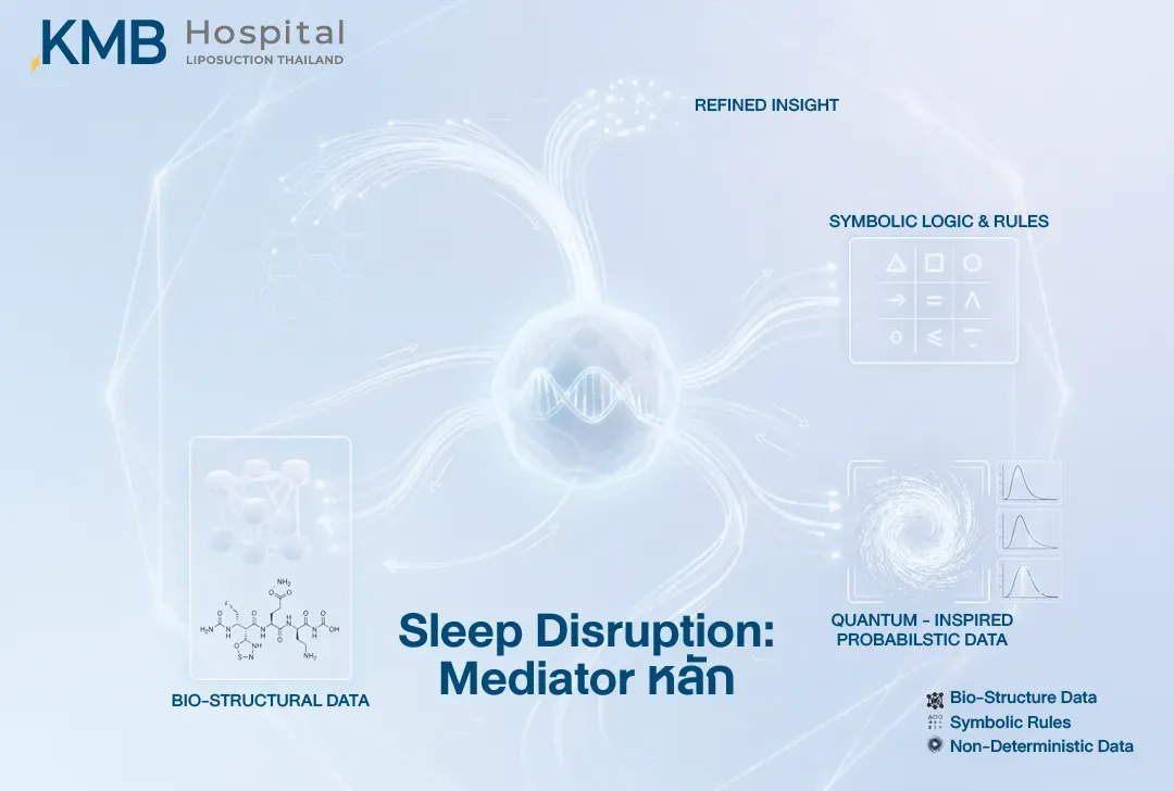 อินโฟกราฟิกแสดง Sleep Disruption หรือการนอนหลับถูกรบกวนในฐานะตัวกลางสำคัญที่อาจเชื่อมโยงภาวะ Burnout ความเครียดเรื้อรัง และความผิดปกติของการควบคุมระบบเผาผลาญ