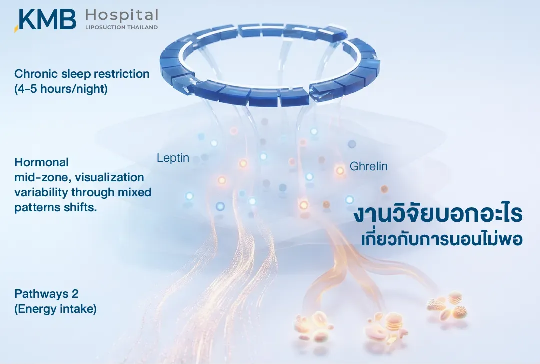 นโฟกราฟิกสรุปงานวิจัยเกี่ยวกับการจำกัดเวลานอนเหลือ 4–5 ชั่วโมงต่อคืน พร้อมแสดงการเปลี่ยนแปลงของสัญญาณฮอร์โมน Leptin และ Ghrelin ที่อาจเชื่อมโยงกับความหิวและการบริโภคพลังงานเพิ่มขึ้น
