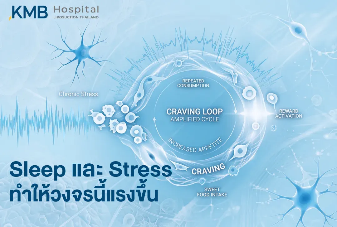 อินโฟกราฟิกแสดงวงจรความอยากของหวานที่รุนแรงขึ้นจากการนอนหลับไม่เพียงพอและความเครียดเรื้อรัง ซึ่งอาจกระตุ้นระบบรางวัลของสมอง เพิ่มความอยากอาหาร และนำไปสู่การรับประทานของหวานซ้ำ