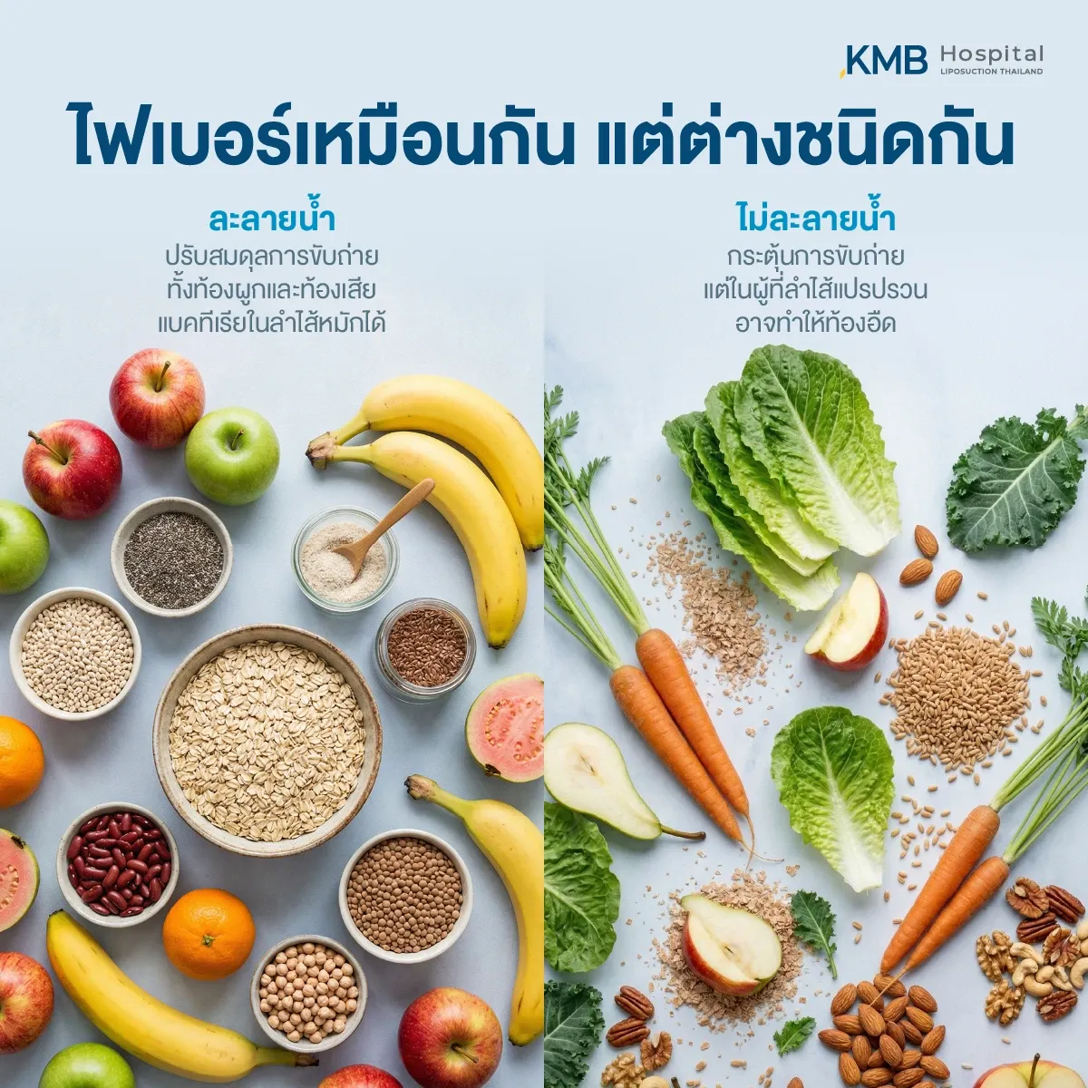 อินโฟกราฟิกเปรียบเทียบไฟเบอร์ละลายน้ำจากผลไม้ ข้าวโอ๊ต และเมล็ดเจีย กับไฟเบอร์ไม่ละลายน้ำจากผักและธัญพืชเต็มเมล็ด พร้อมอธิบายผลต่อการขับถ่ายและอาการท้องอืด
