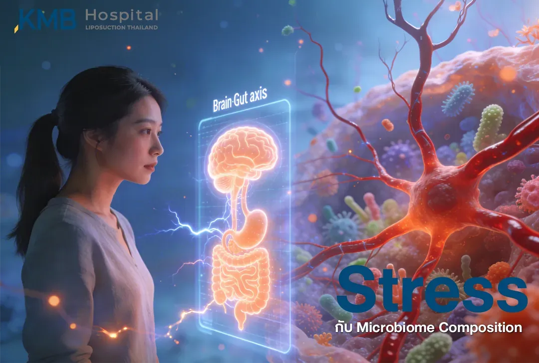 ภาพผู้หญิงมองกราฟิก Brain–Gut Axis ที่เชื่อมโยงสมอง กระเพาะอาหาร และลำไส้ พร้อมภาพจุลินทรีย์ เพื่ออธิบายว่าความเครียดอาจส่งผลต่อองค์ประกอบและสมดุลของ Gut Microbiome อย่างไร
