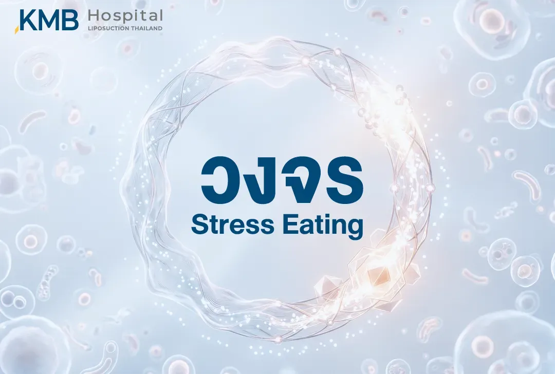 ภาพกราฟิกสรุปวงจร Stress Eating ที่เชื่อมโยงความเครียด ฮอร์โมน Cortisol การเลือกอาหาร และการตอบสนองของระบบลำไส้