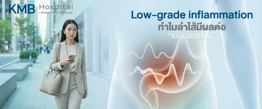 low-grade-inflammation-gut-hormone-system-connection
