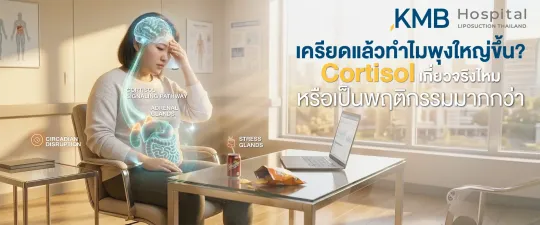 ผู้หญิงวัยทำงานมีสีหน้าเครียดขณะนั่งอยู่ในสำนักงาน พร้อมกราฟิกสมอง ต่อมหมวกไต และระบบทางเดินอาหาร สื่อถึงความสัมพันธ์ระหว่างความเครียด ฮอร์โมน Cortisol จังหวะชีวิต การนอน และพฤติกรรมการรับประทานอาหารที่อาจเกี่ยวข้องกับการสะสมไขมันบริเวณหน้าท้อ