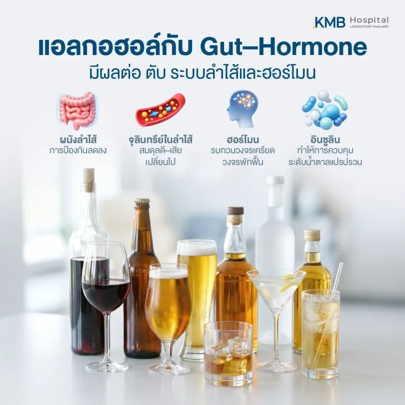 อินโฟกราฟิกแสดงเครื่องดื่มแอลกอฮอล์และผลที่อาจเกิดขึ้นต่อผนังลำไส้ สมดุลจุลินทรีย์ในลำไส้ ฮอร์โมนความเครียด การควบคุมระดับน้ำตาล และการทำงานของตับ
